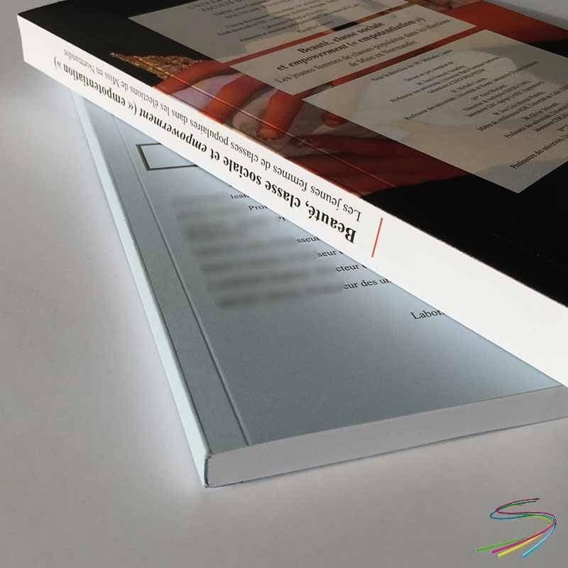 Thèses - Rapports professionnels Thèses - Rapports professionnels
